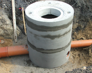 Studzienki - Image 11